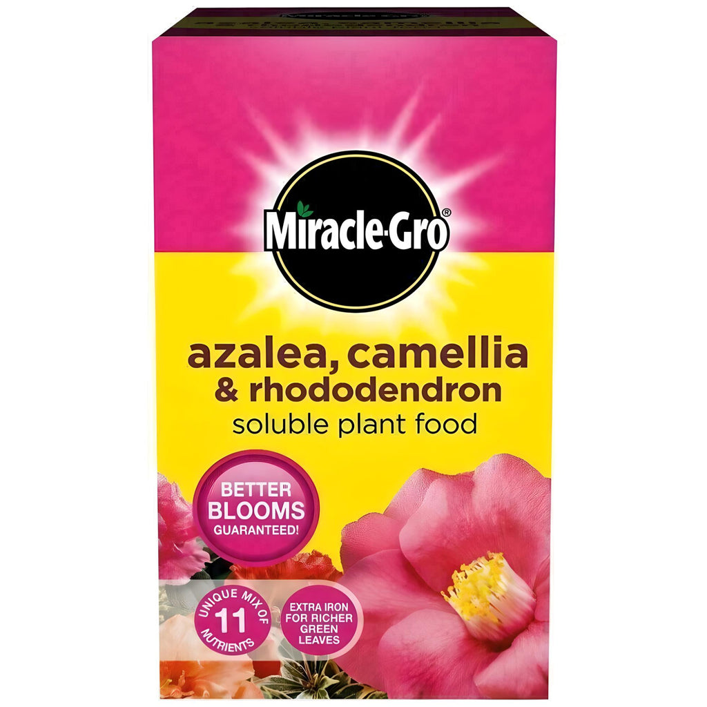 AMK® Miracle-Gro® Azalea, Camellia & Rhododendron Soluble Plant Food 500g Carton