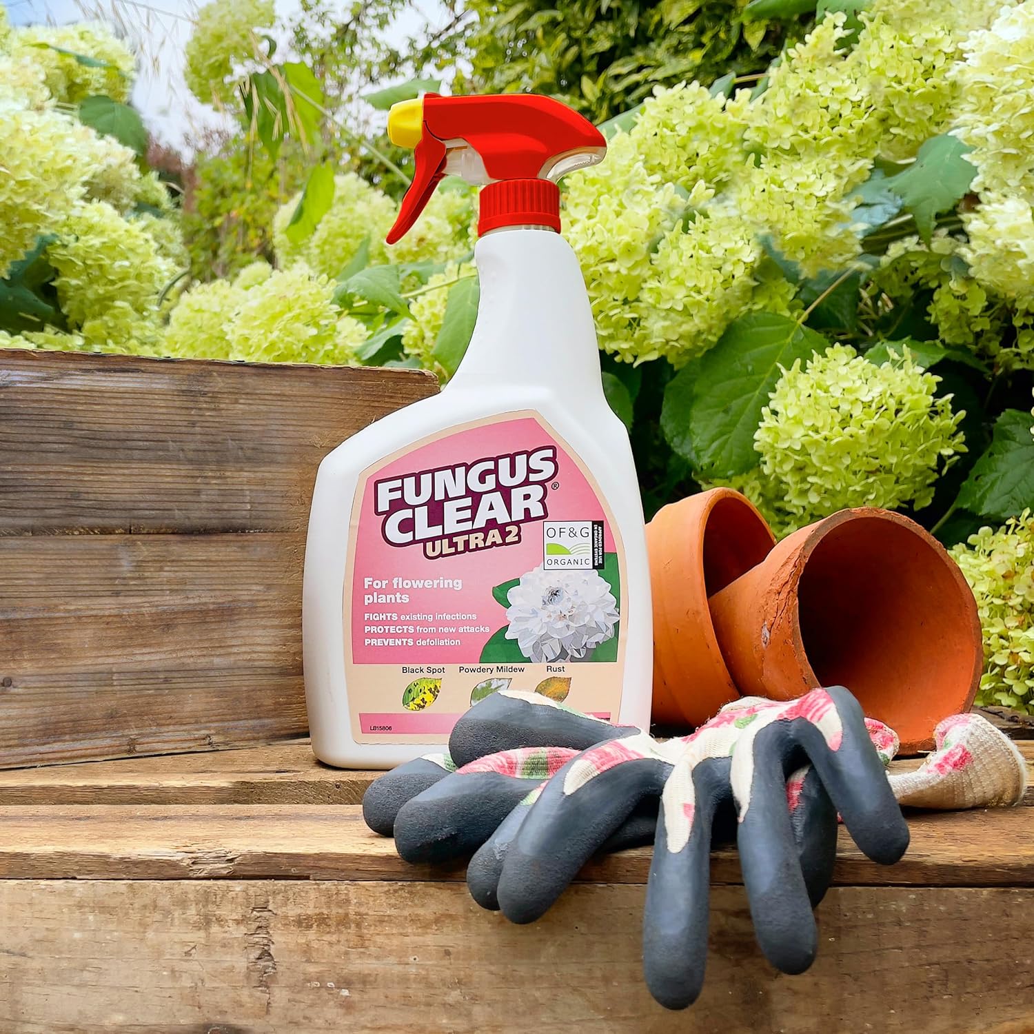 FungusClear Ultra 2 Ready to Use 800ml