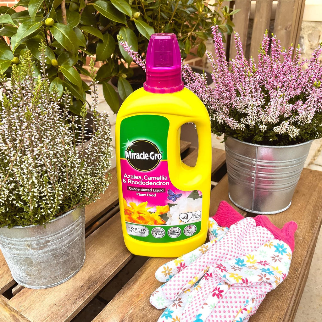 Miracle-Gro® Ericaceous Liquid Plant Food 800ml