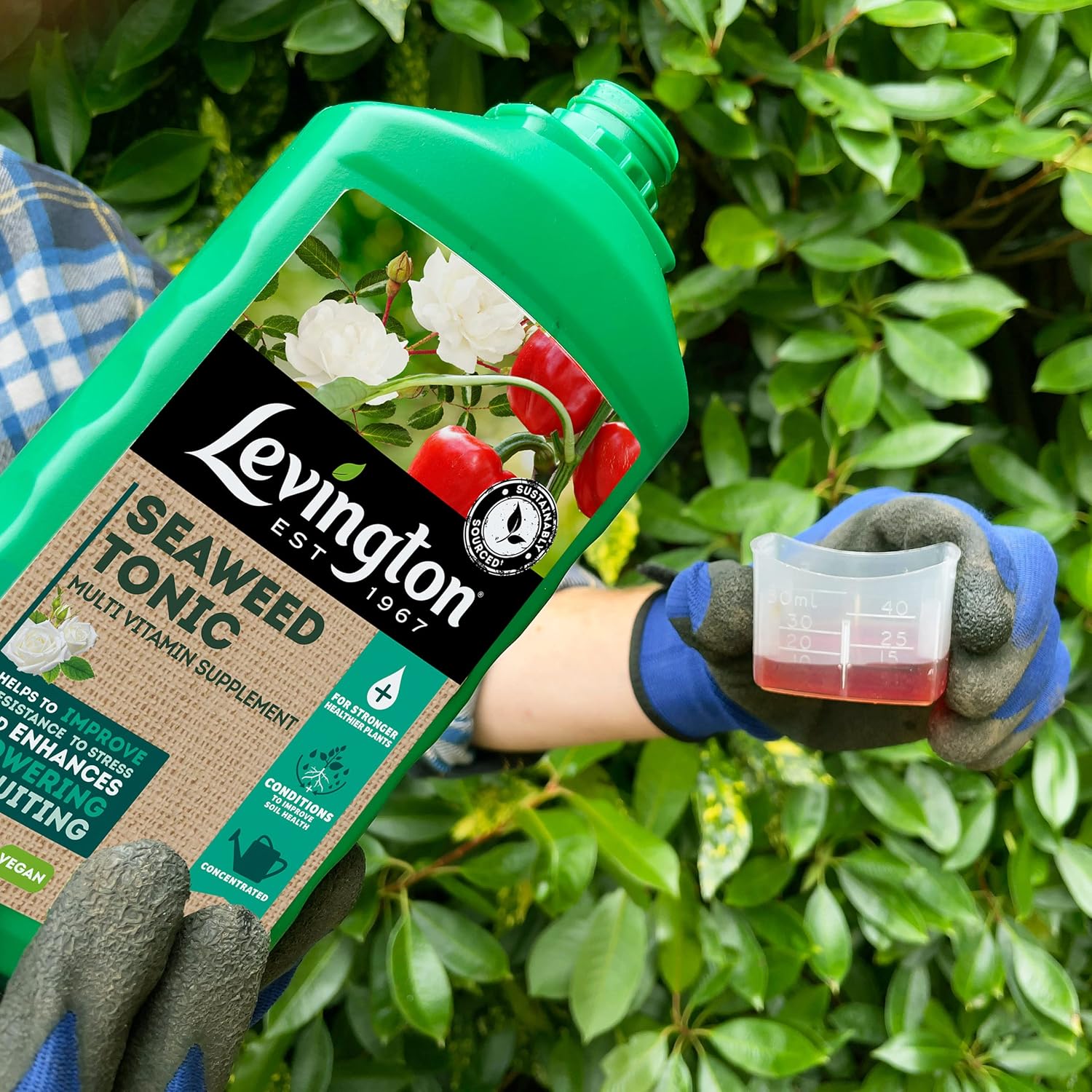 AMK® Levington Seaweed Tonic 800ml