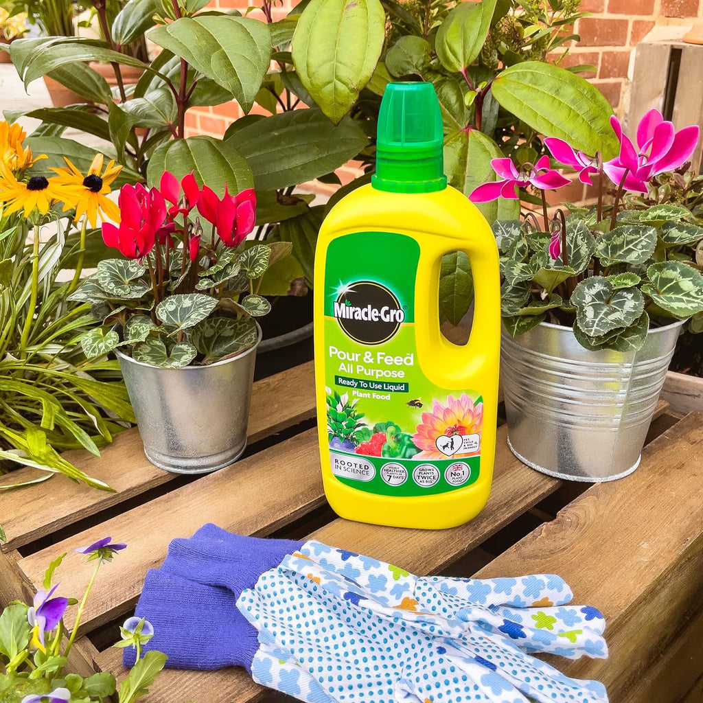 Miracle-Gro® Pour & Feed 1L