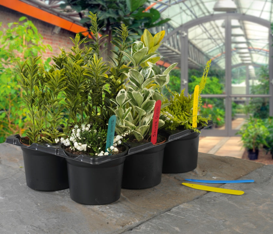 AMK® Ambassador Plant Labels 4" Pack 50