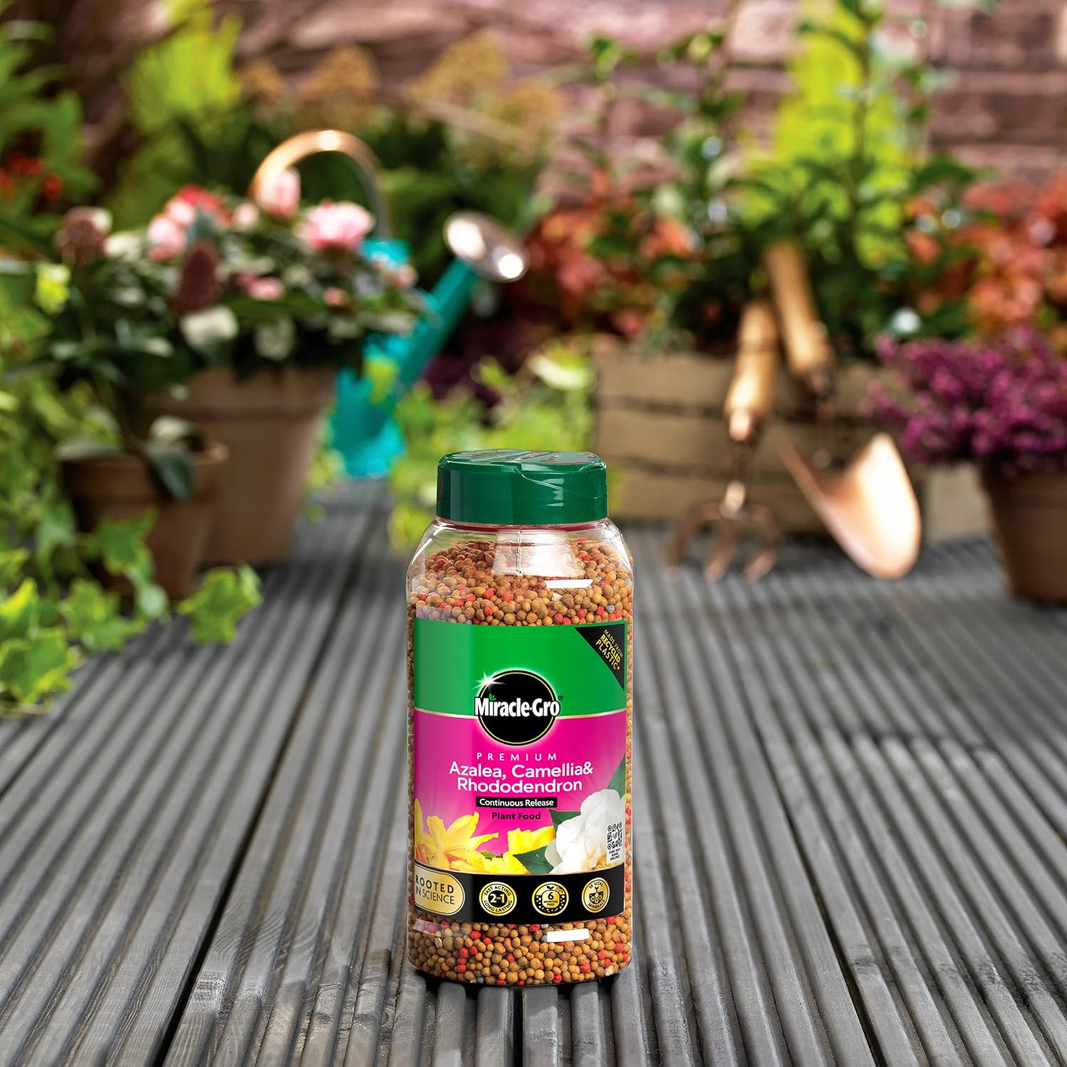 AMK® Miracle-Gro® Azalea, Camellia & Rhododendron Continuous Release Plant Food 900g