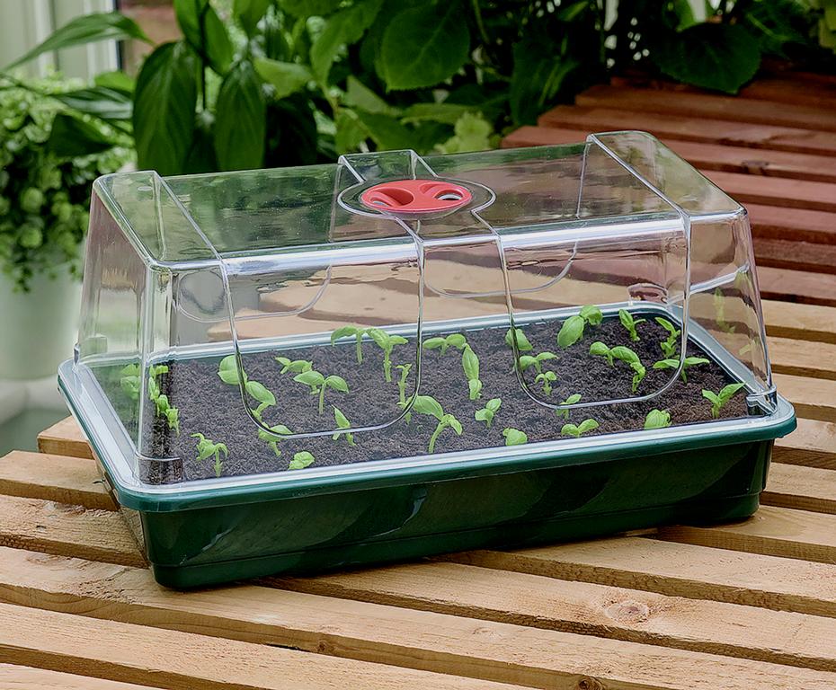 AMK® Garland High Dome Propagator Large