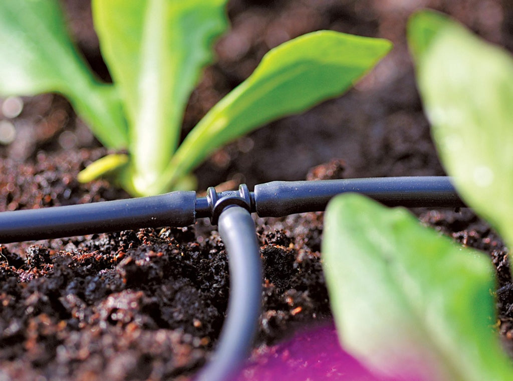 AMK® Hozelock T Piece 4mm Pack 12