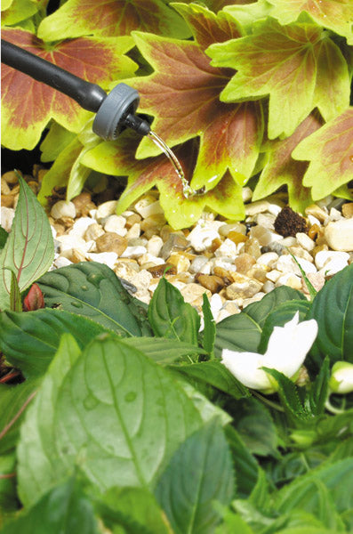 AMK® Hozelock 4 LPH End of Line Pressure Compensating Dripper (Contains 5)