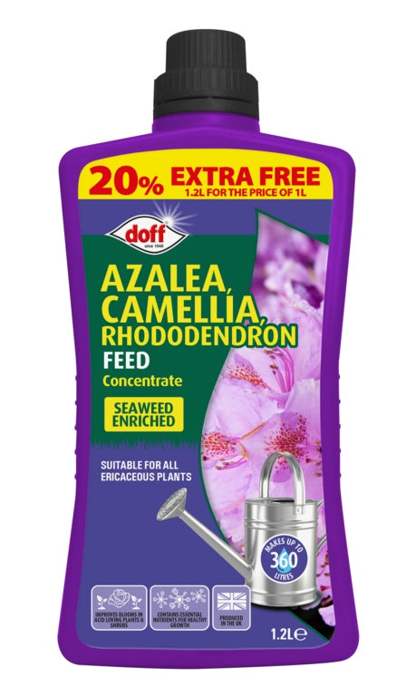 AMK® Doff Azalea Camillia & Rhodedendron Feed Concentrate 1.2L Extra Fill