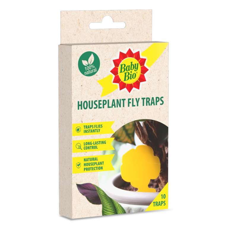 AMK® Baby Bio Houseplant Fly Traps Pack 10
