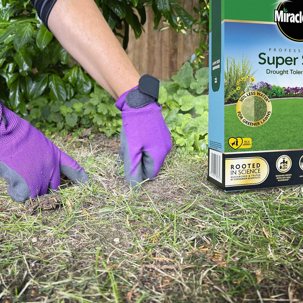 AMK® Miracle-Gro® Professional Super Seed Drought Tolerant Lawn 2kg