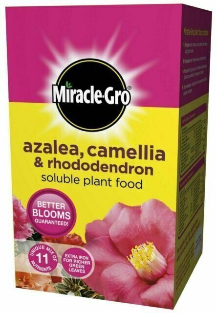 AMK® Miracle-Gro® Azalea, Camellia & Rhododendron Soluble Plant Food 1kg