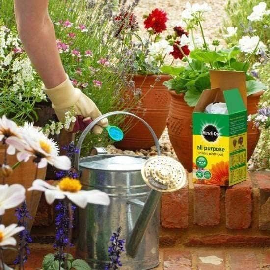 Miracle-Gro® All Purpose Plant Food 1kg + 20% Free