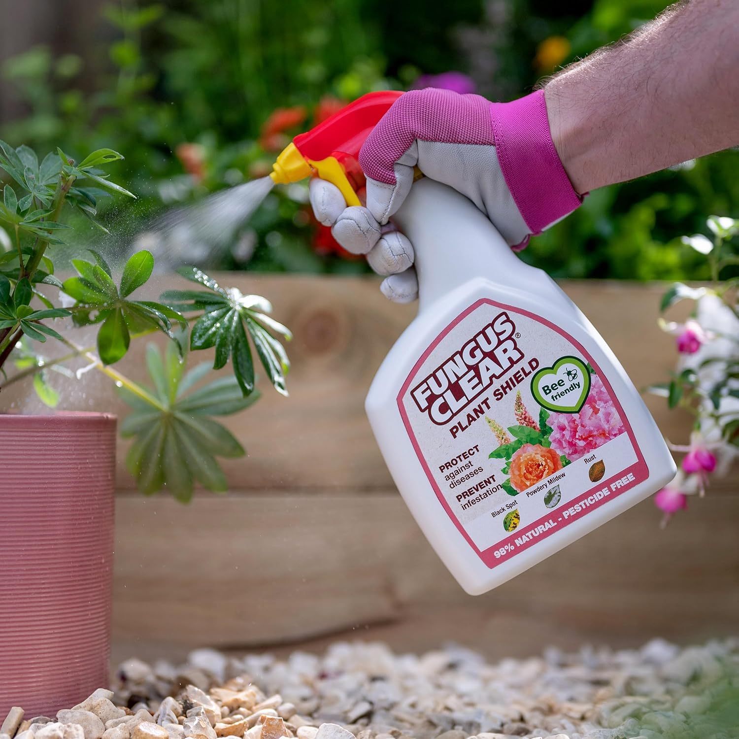 AMK® FungusClear Plant Shield 800ml