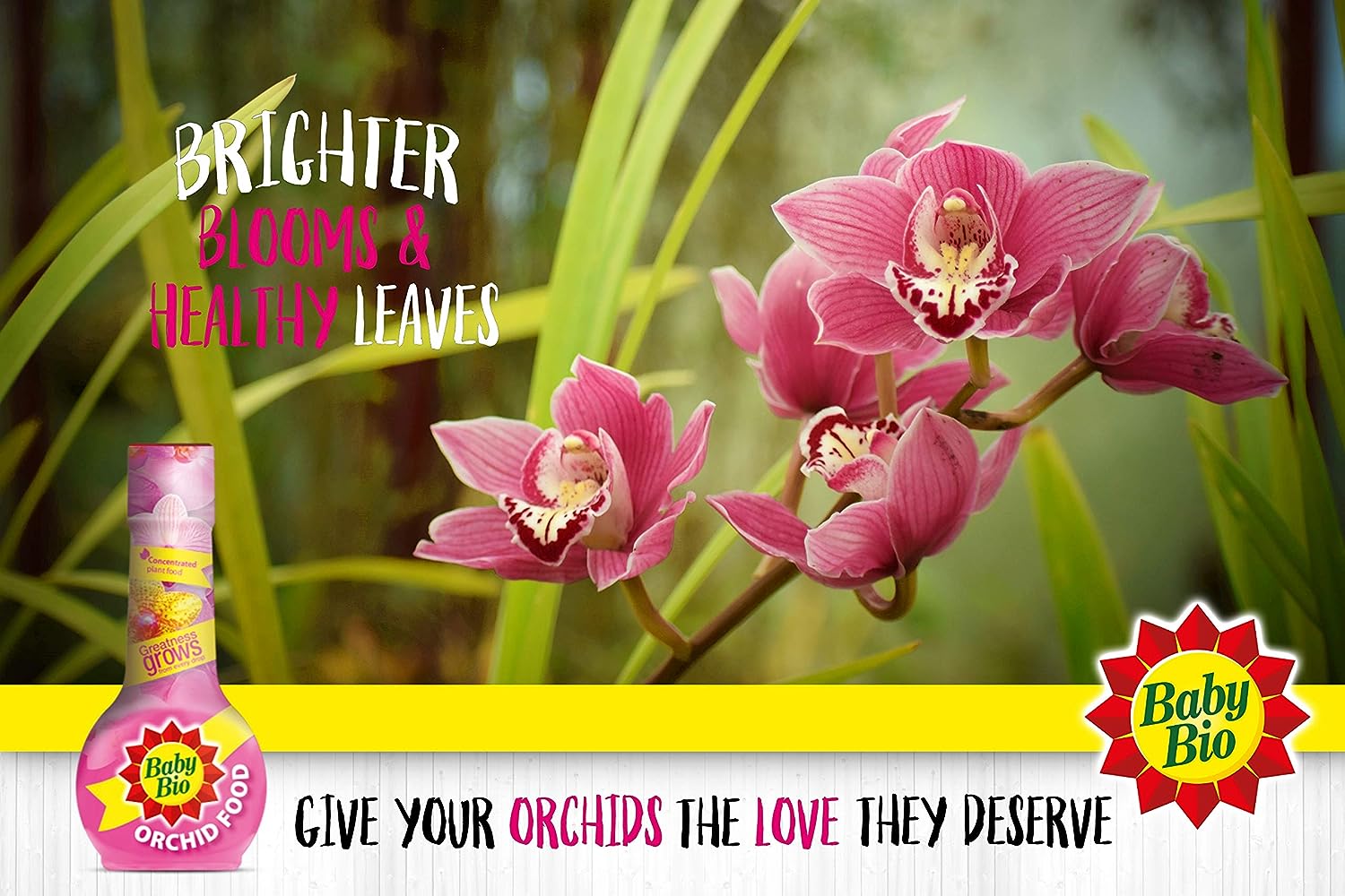 Baby Bio Orchid Food 175ml