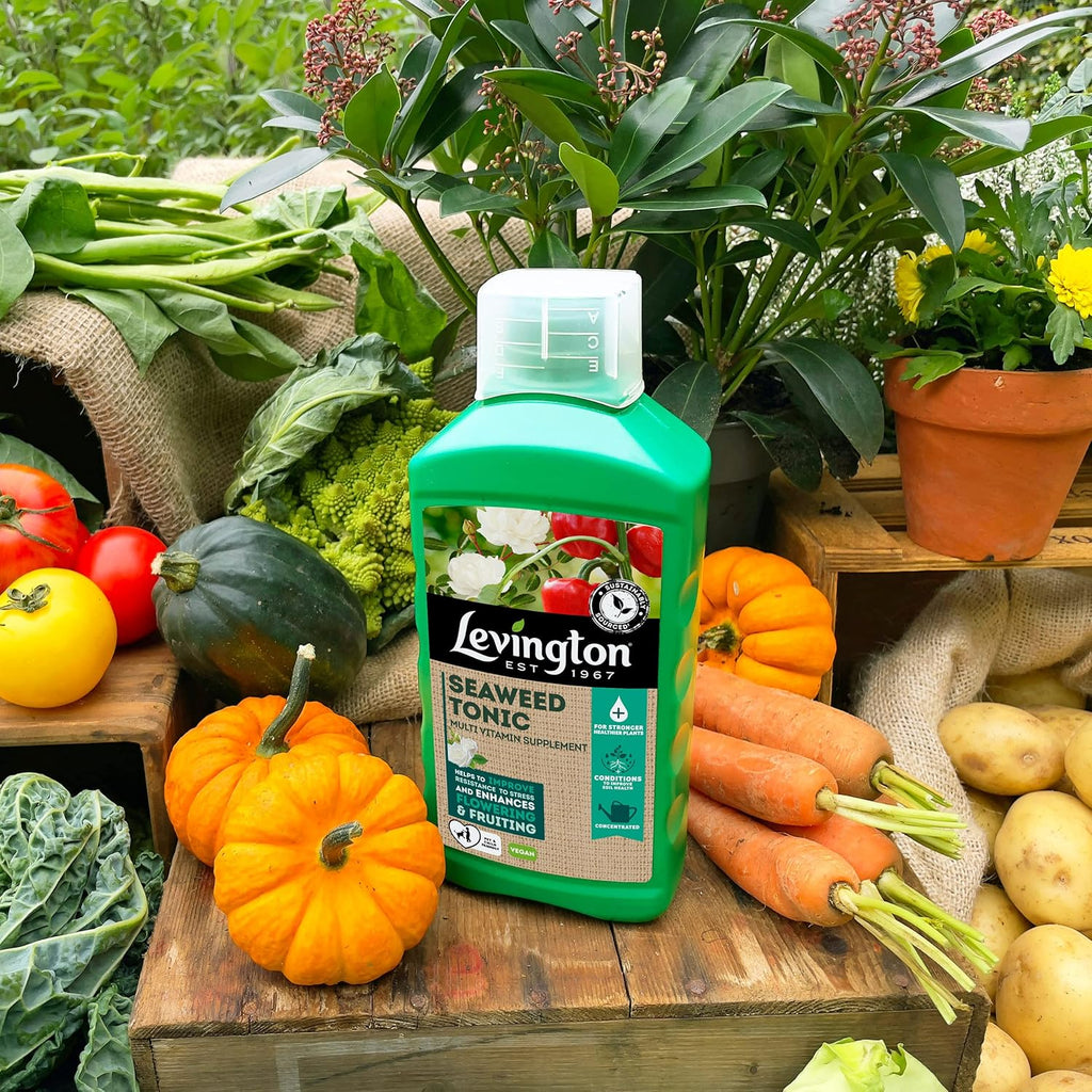 AMK® Levington Seaweed Tonic 800ml