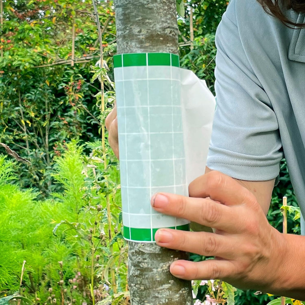 AMK® BugClear Insect Glue Barrier 5 Metres