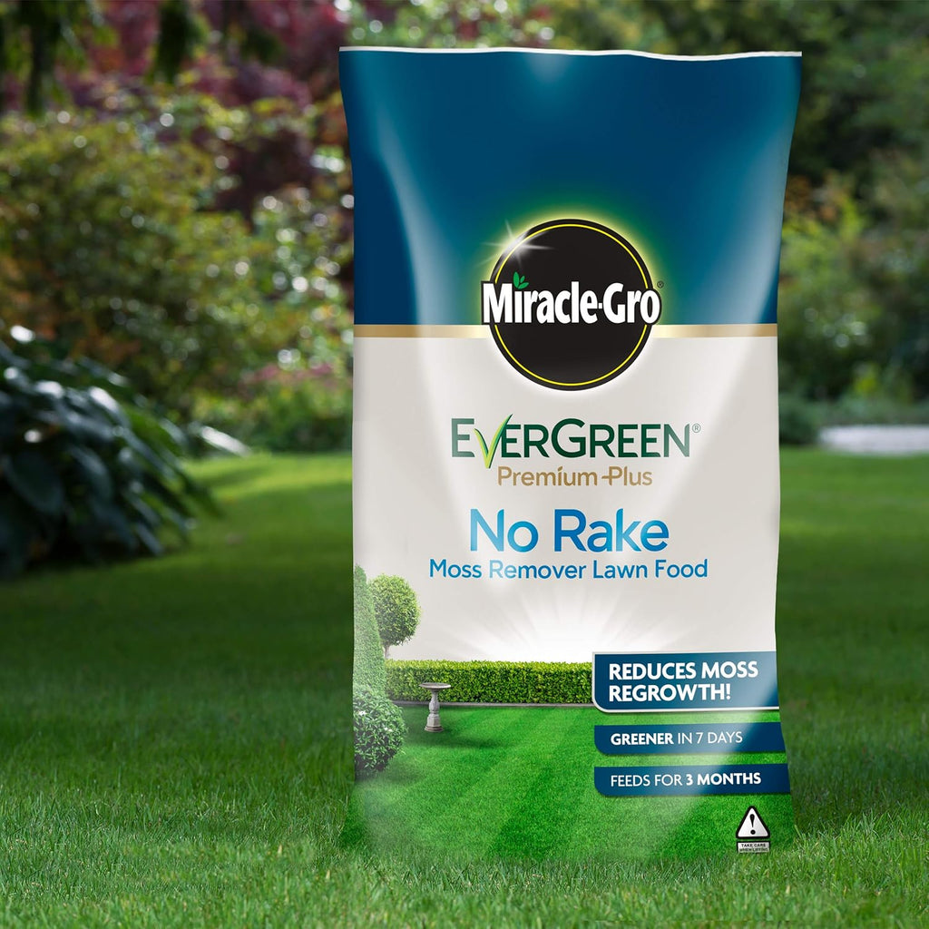 AMK® Miracle-Gro® Evergreen No Rake Moss Remover 100m2