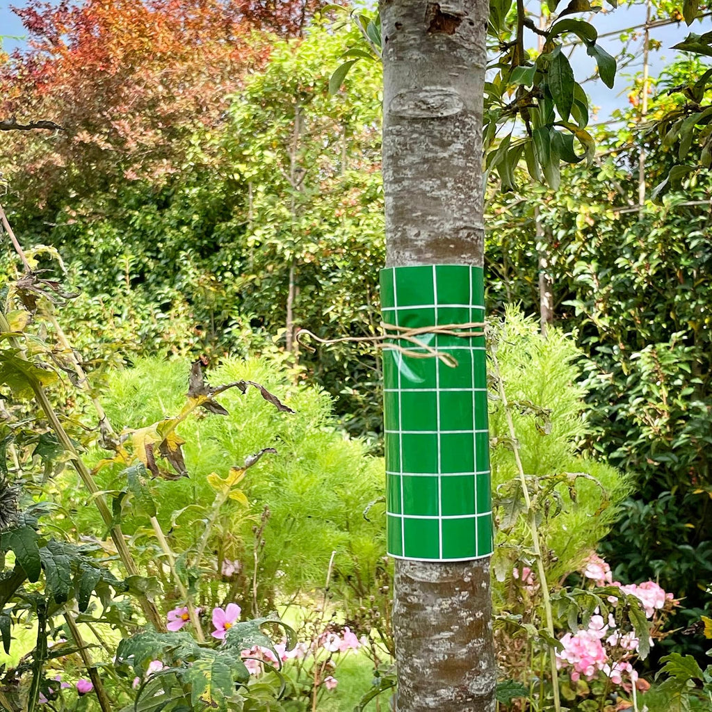 AMK® BugClear Insect Glue Barrier 5 Metres