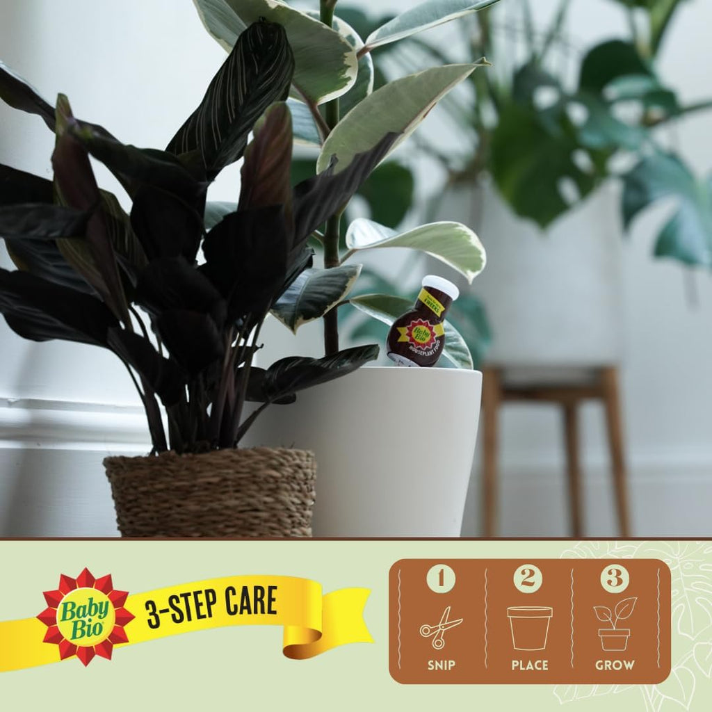 AMK® Baby Bio Drip Feeders 40ml Pack of 4