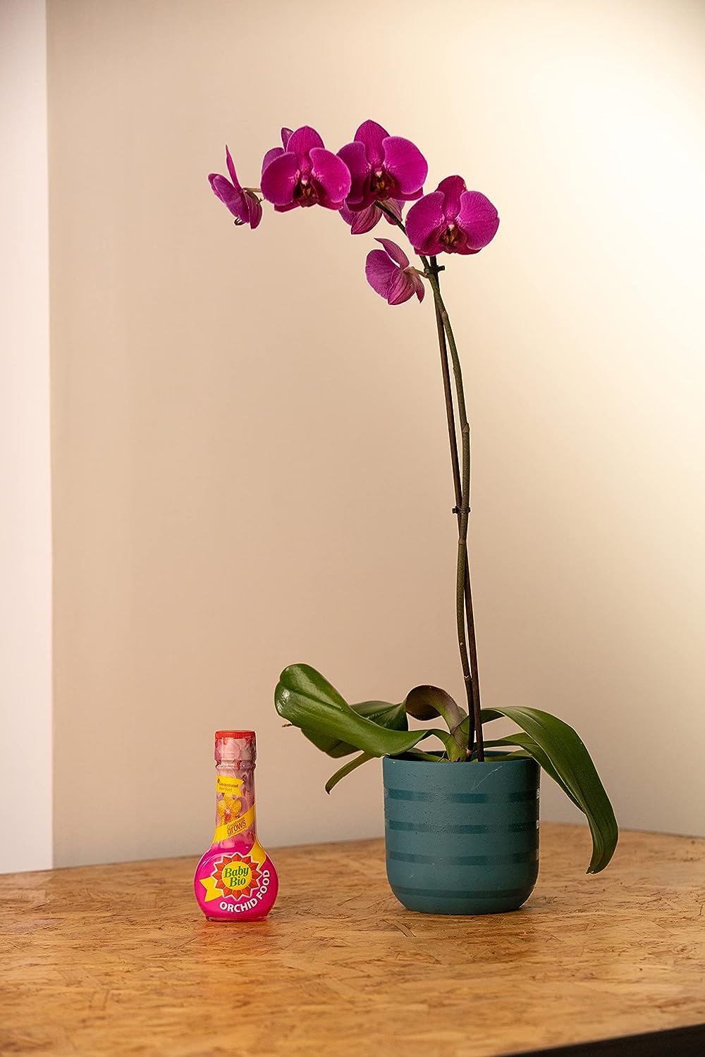 AMK® Baby Bio Orchid Food 175ml