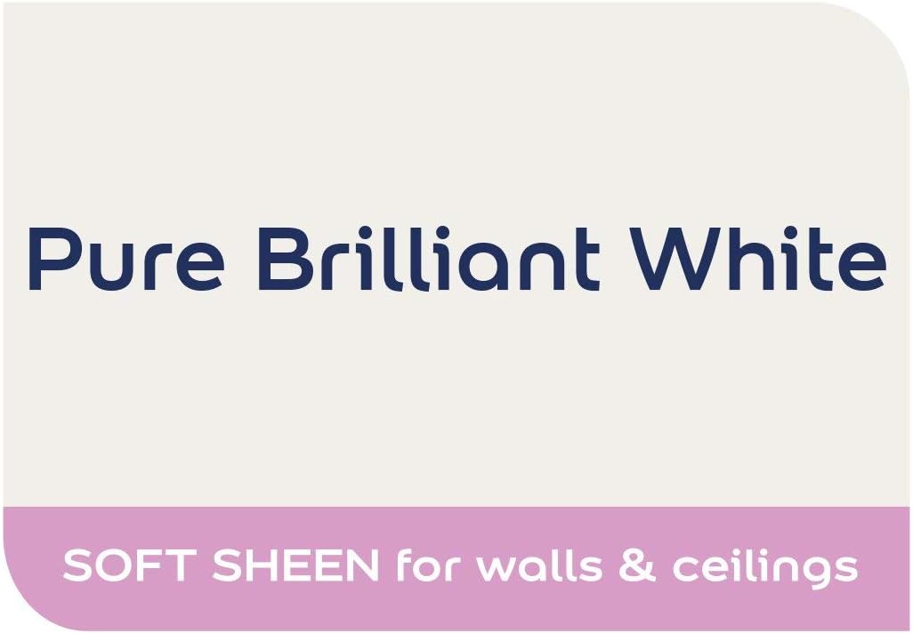 Dulux Easycare Bathroom Soft Sheen 1L Pure Brilliant White