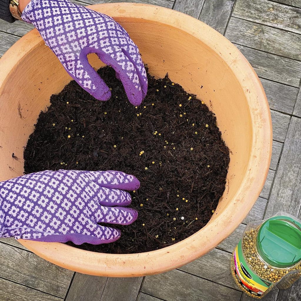 Miracle-Gro® All Purpose Continuous Release Plant Food 900g