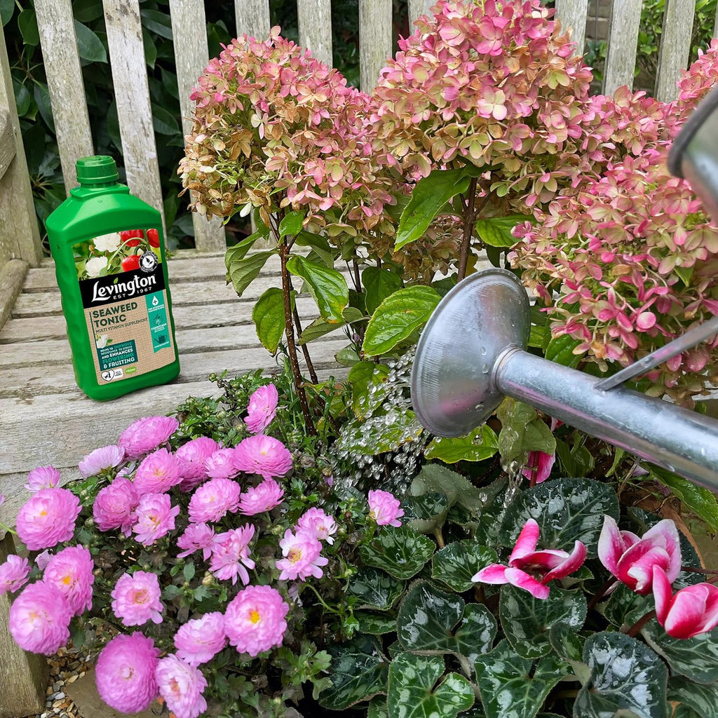 Levington Seaweed Tonic 800ml