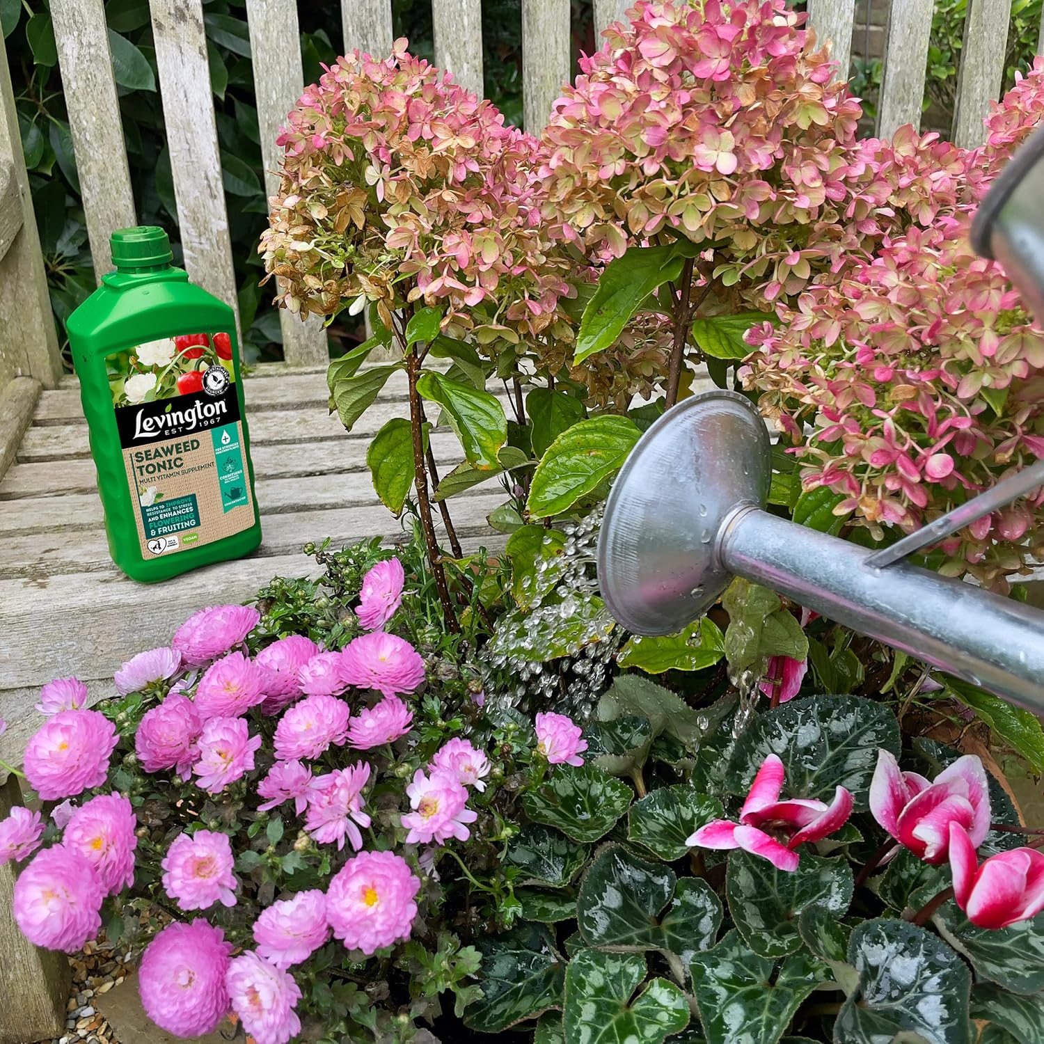 Levington Seaweed Tonic 800ml